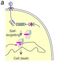 The experimental setup The experimental setup
