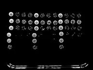 Petri dish image showing the effects on USA300-derived bacterial samples Petri dish image showing the effects on USA300-derived bacterial samples